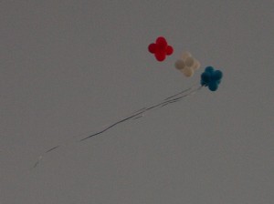 Kite Flying Kite Flying